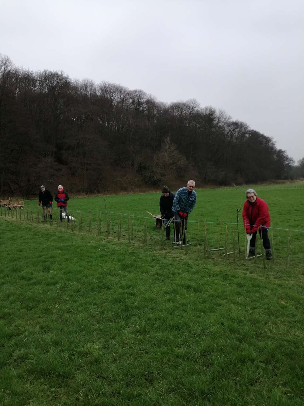 Record breaking tree planting at Lower Grange Farm!
